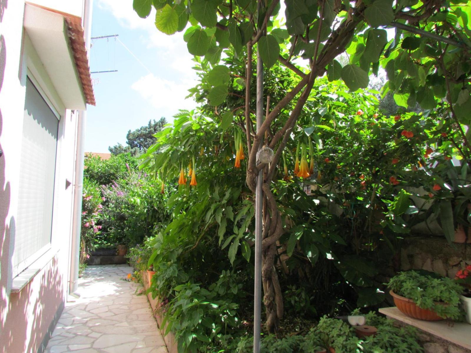 Apartments Bura & Jugo, Cres, Without Stress מראה חיצוני תמונה