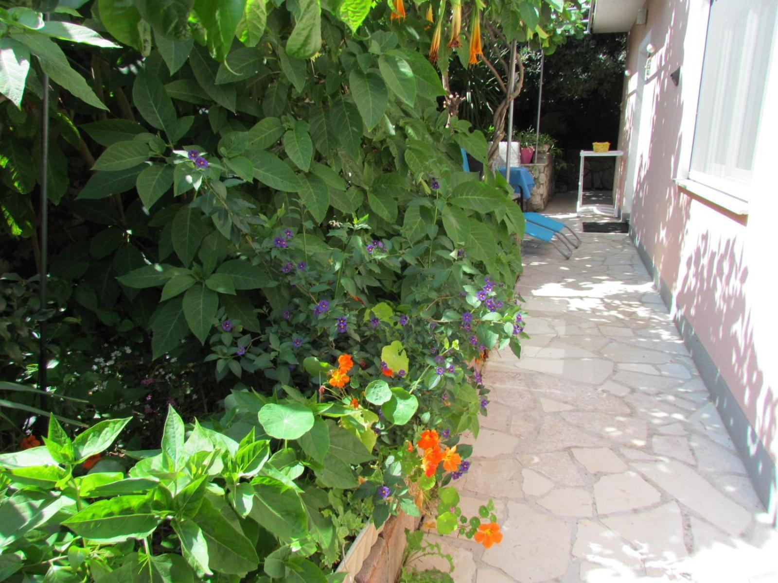 Apartments Bura & Jugo, Cres, Without Stress מראה חיצוני תמונה