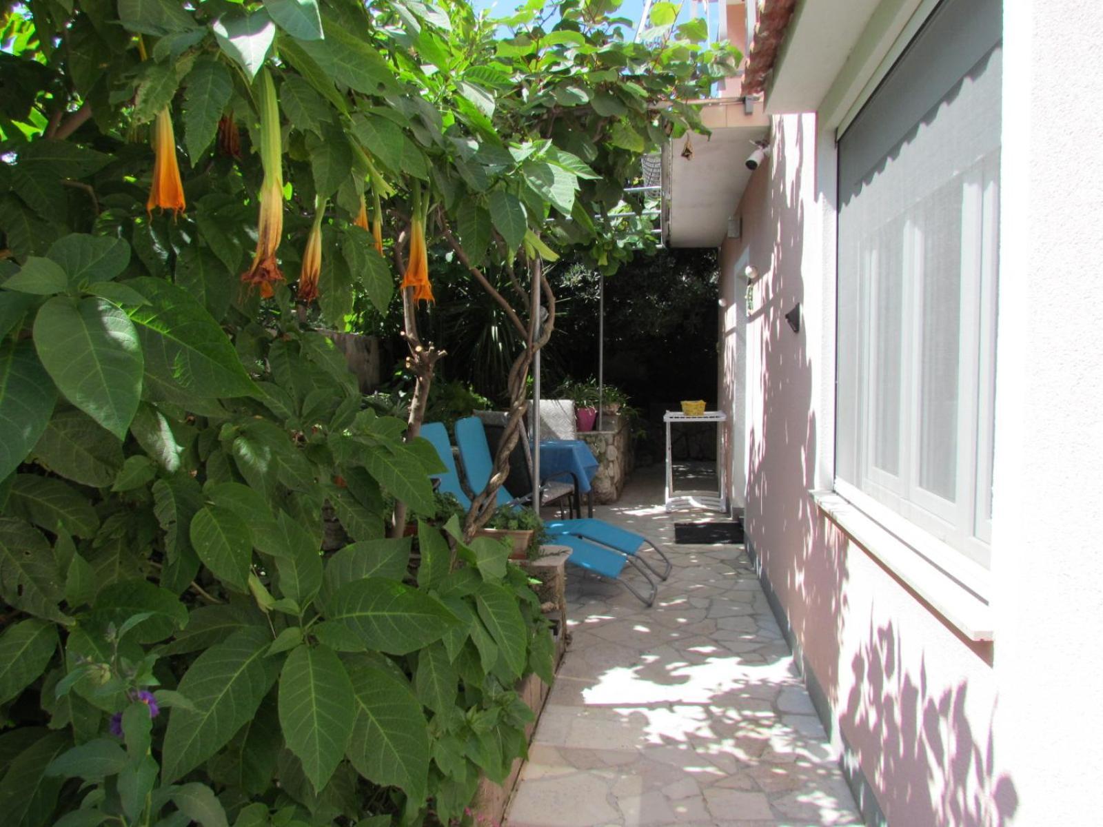 Apartments Bura & Jugo, Cres, Without Stress מראה חיצוני תמונה